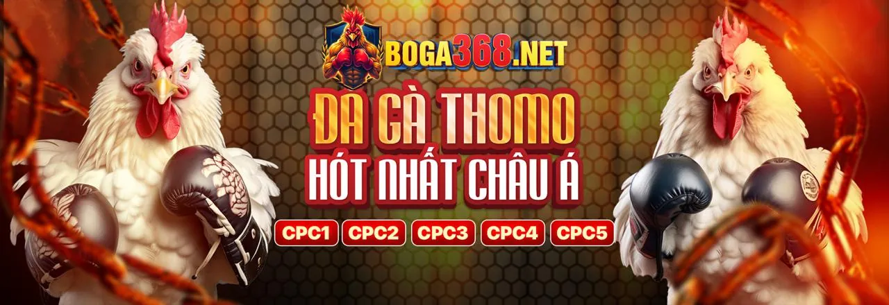 Hướng dẫn nạp rút tiền ZBET68 an toàn