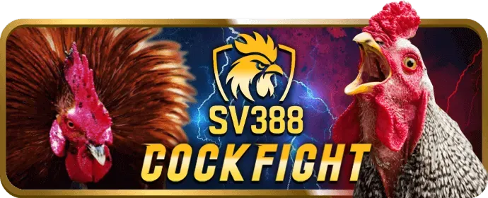 Bàn chơi Dragon Tiger tại ZBET68